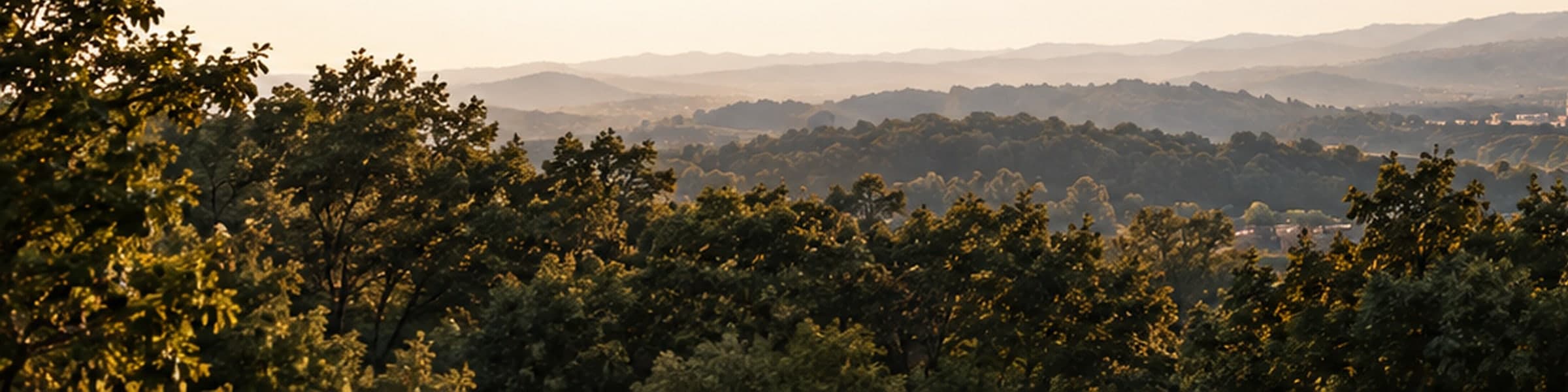 Mature trees on a wooded hillside, with rolling Tennessee hills beyond.